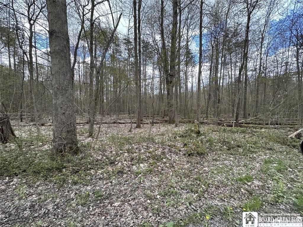 0 Walker Road Bemus Point, NY 14712 - Photo 17 of 25 Gallery Image 17