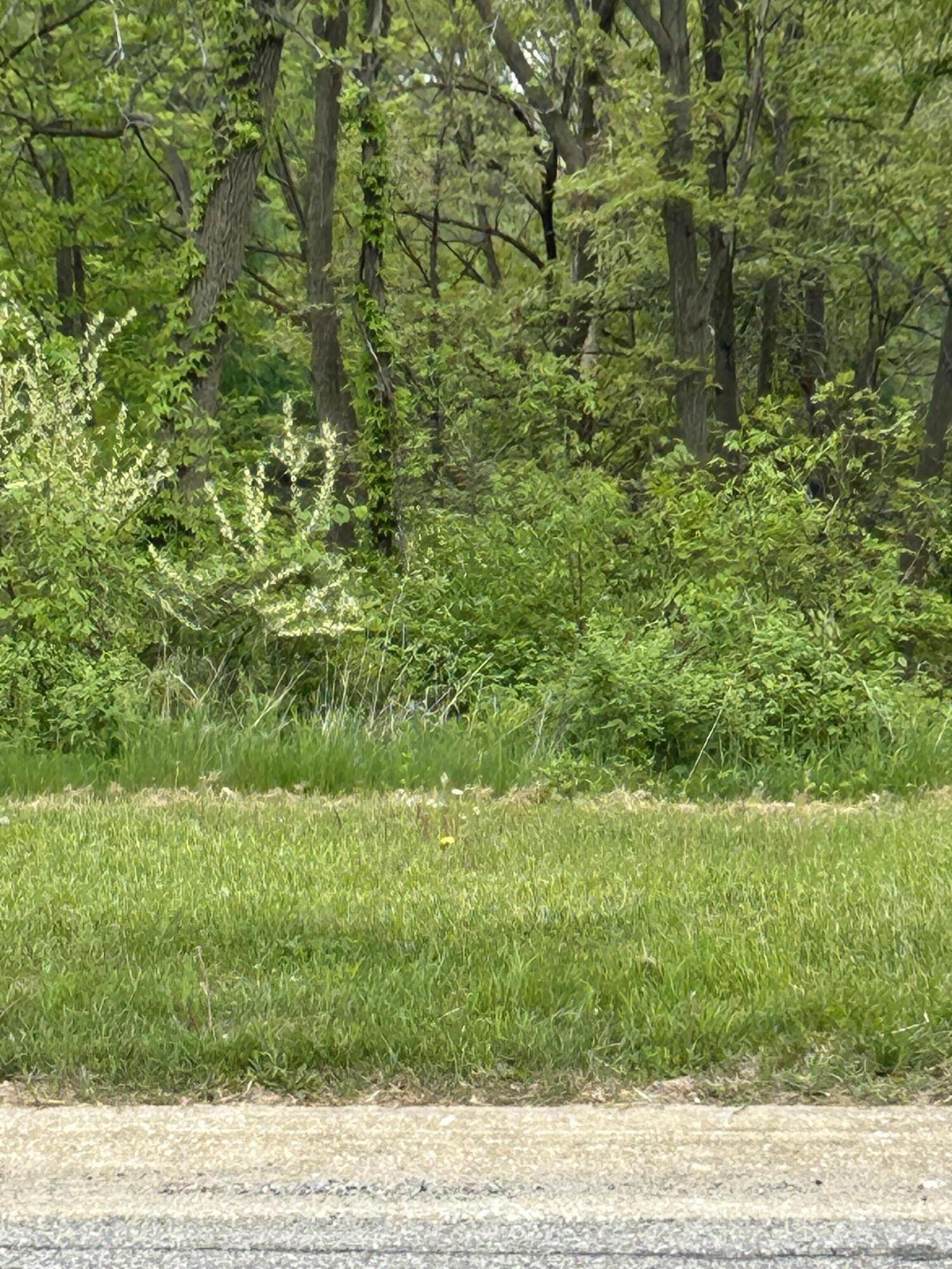 46 Levanno Drive Crown Point, IN 46307 - Photo 3 of 5 1500x2000