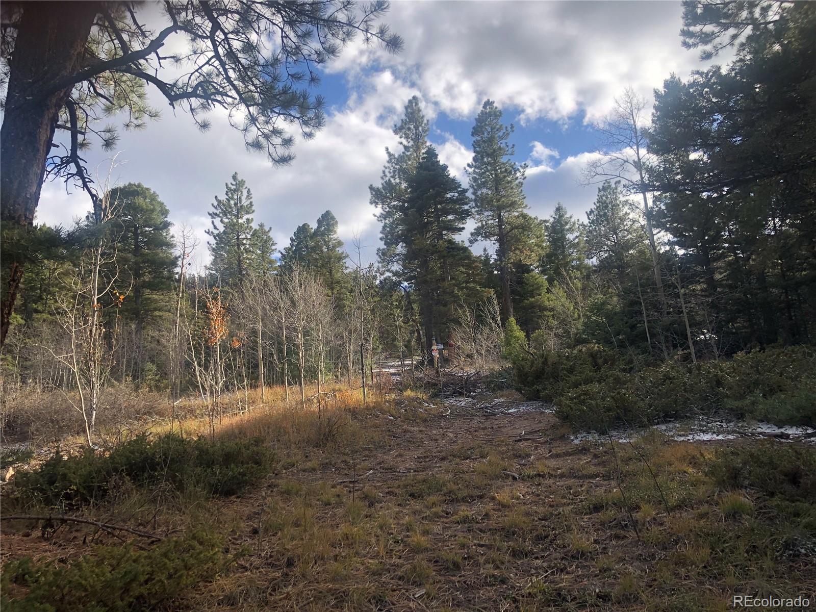 0 Whitney Road San Luis, CO 81152 - Photo 8 of 12 Gallery Image 8