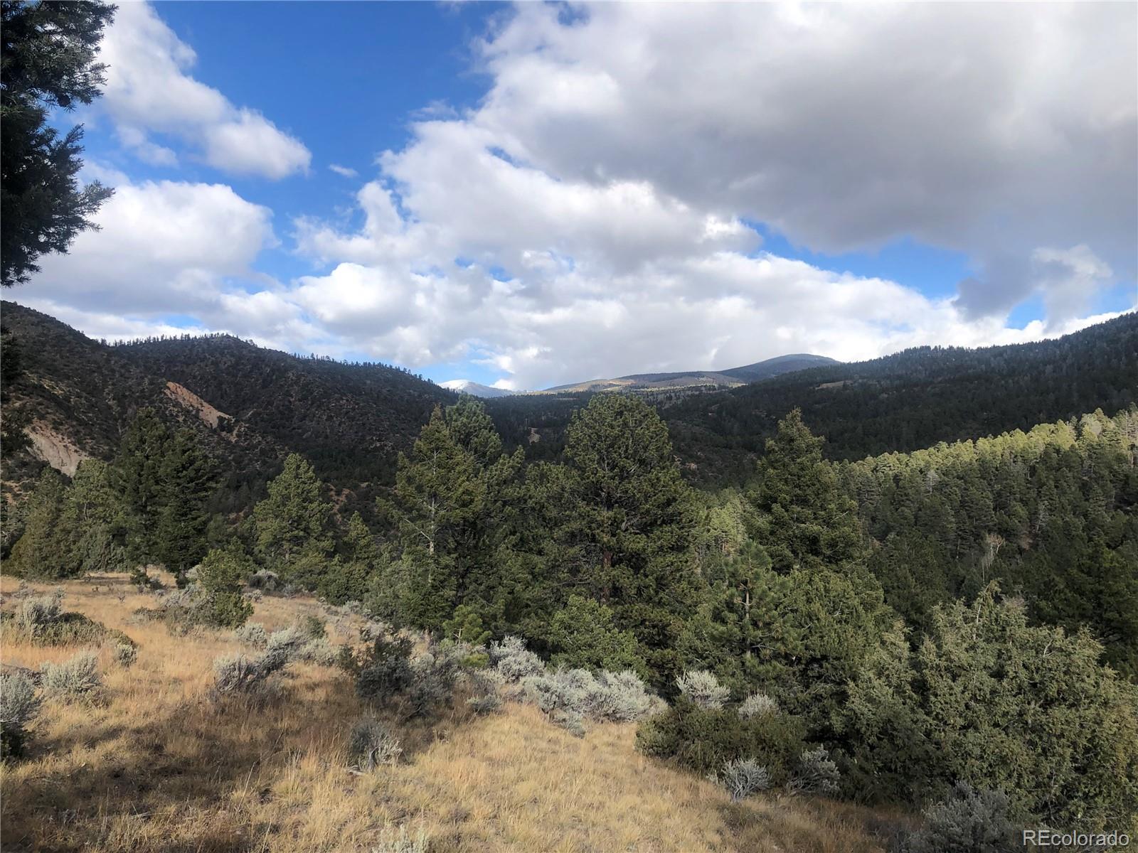 0 Whitney Road San Luis, CO 81152 - Photo 10 of 12 Gallery Image 10