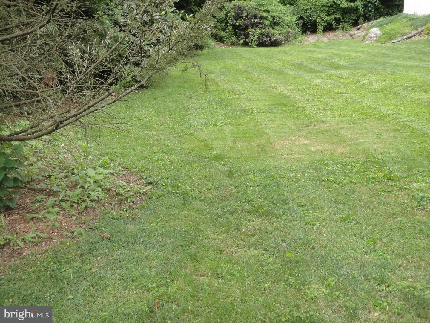 1217 Knox Road Wynnewood, PA 19096 - Photo 3 of 15 View