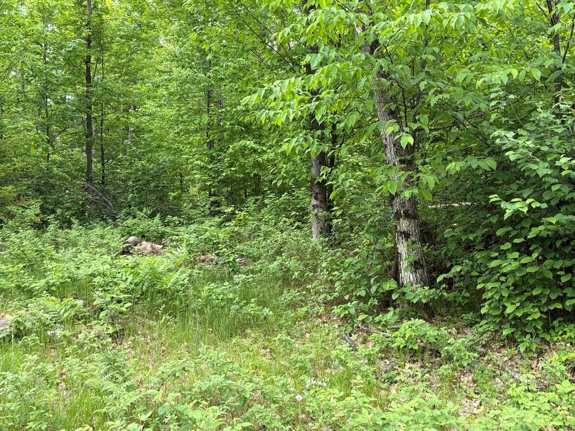 W15816 Fawn Acres Road Fence, WI 54120 - Photo 4 of 14