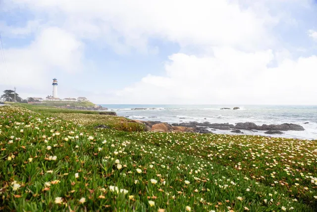 $7,980,000 | 801 Bean Hollow Road, Pescadero, CA 94060