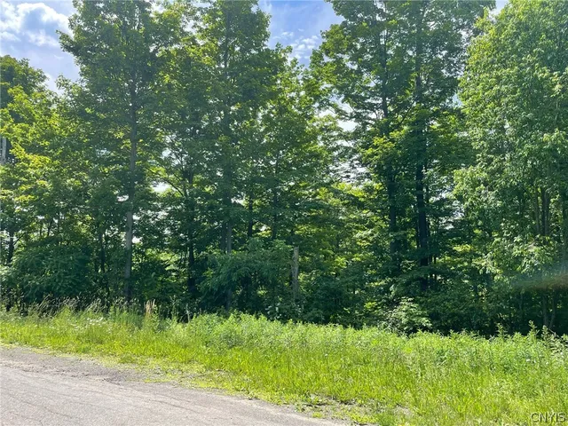 $29,000 | 2002 Amalia Drive, Virgil, NY 13045