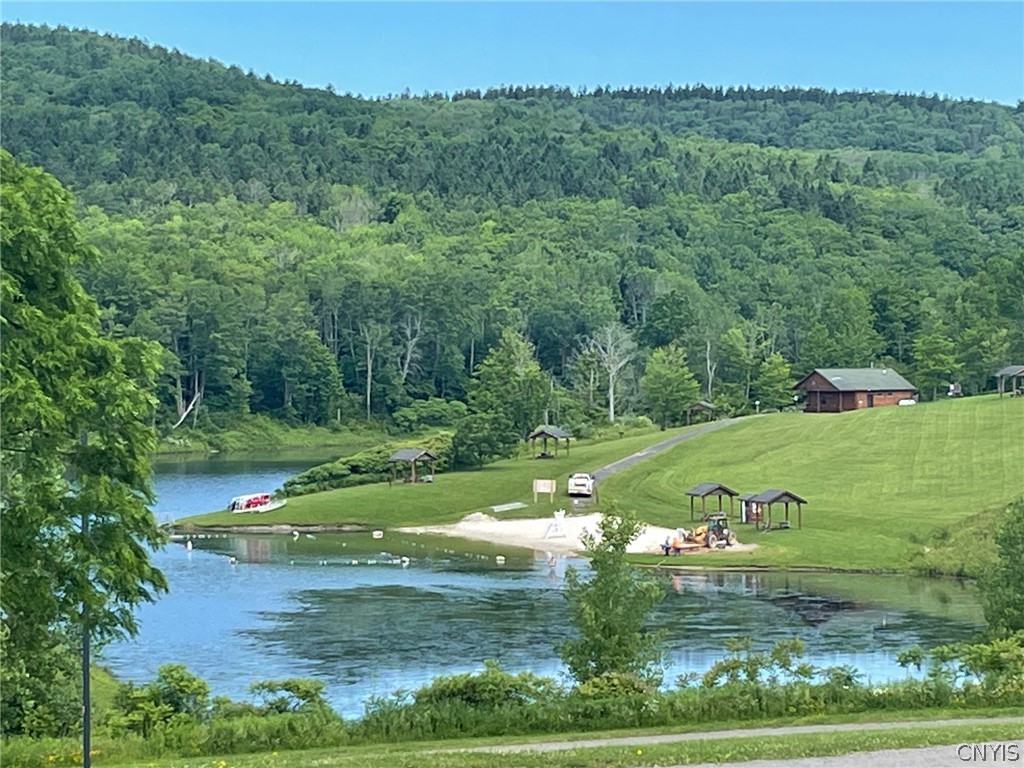 2002 Amalia Drive Virgil, NY 13045 - Photo 4 of 8