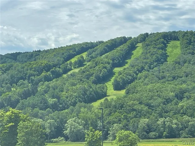 $29,000 | 2002 Amalia Drive, Virgil, NY 13045