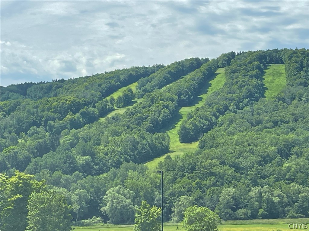 2002 Amalia Drive Virgil, NY 13045 - Photo 5 of 8