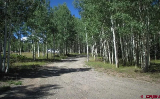 a view of a park with large trees