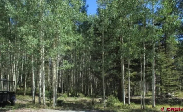 a view of a forest with a house