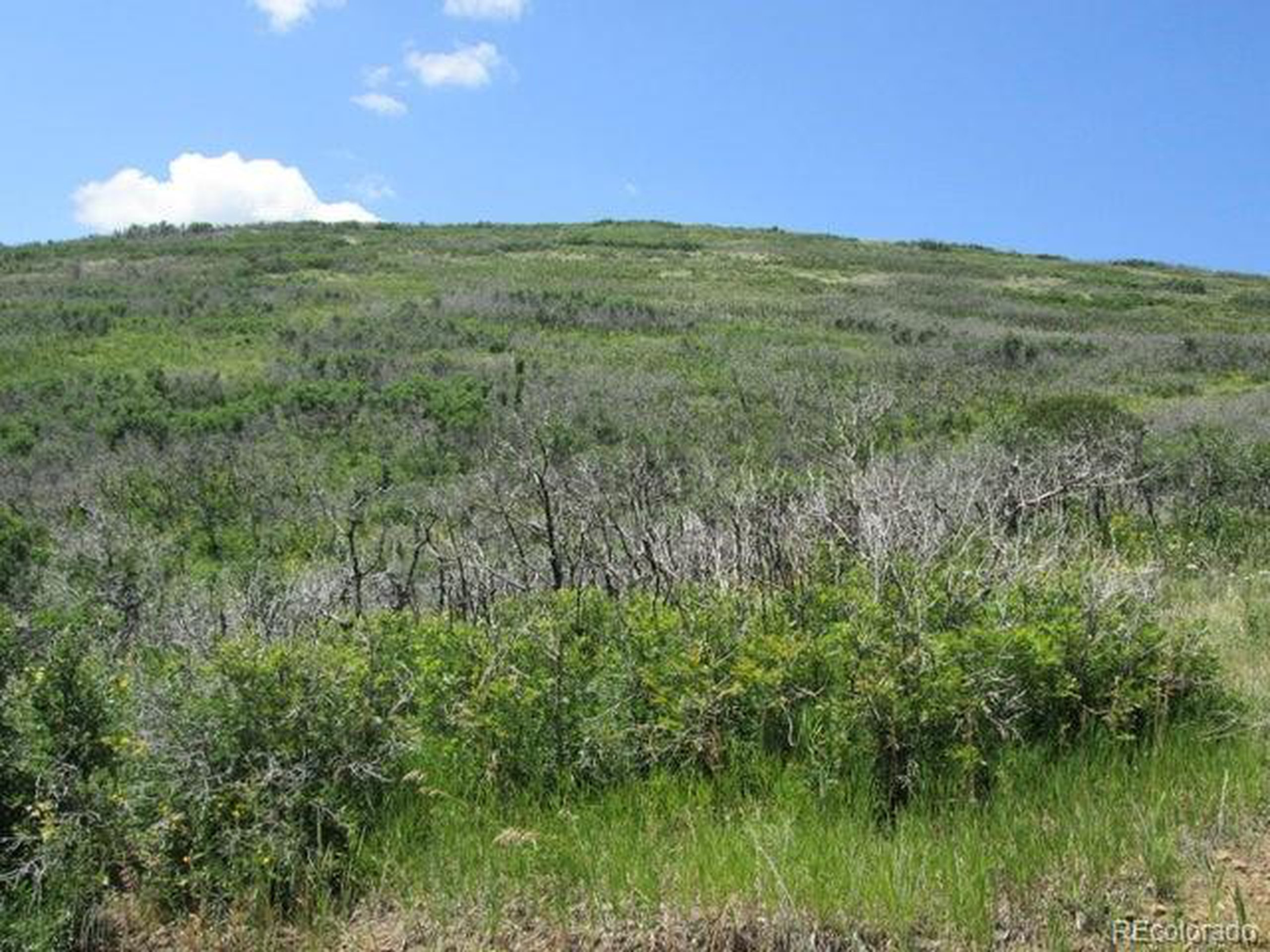 32 Raspberry Mountain Ranch La Veta, CO 81055 - Photo 6 of 13 a view of a lush green space with sea