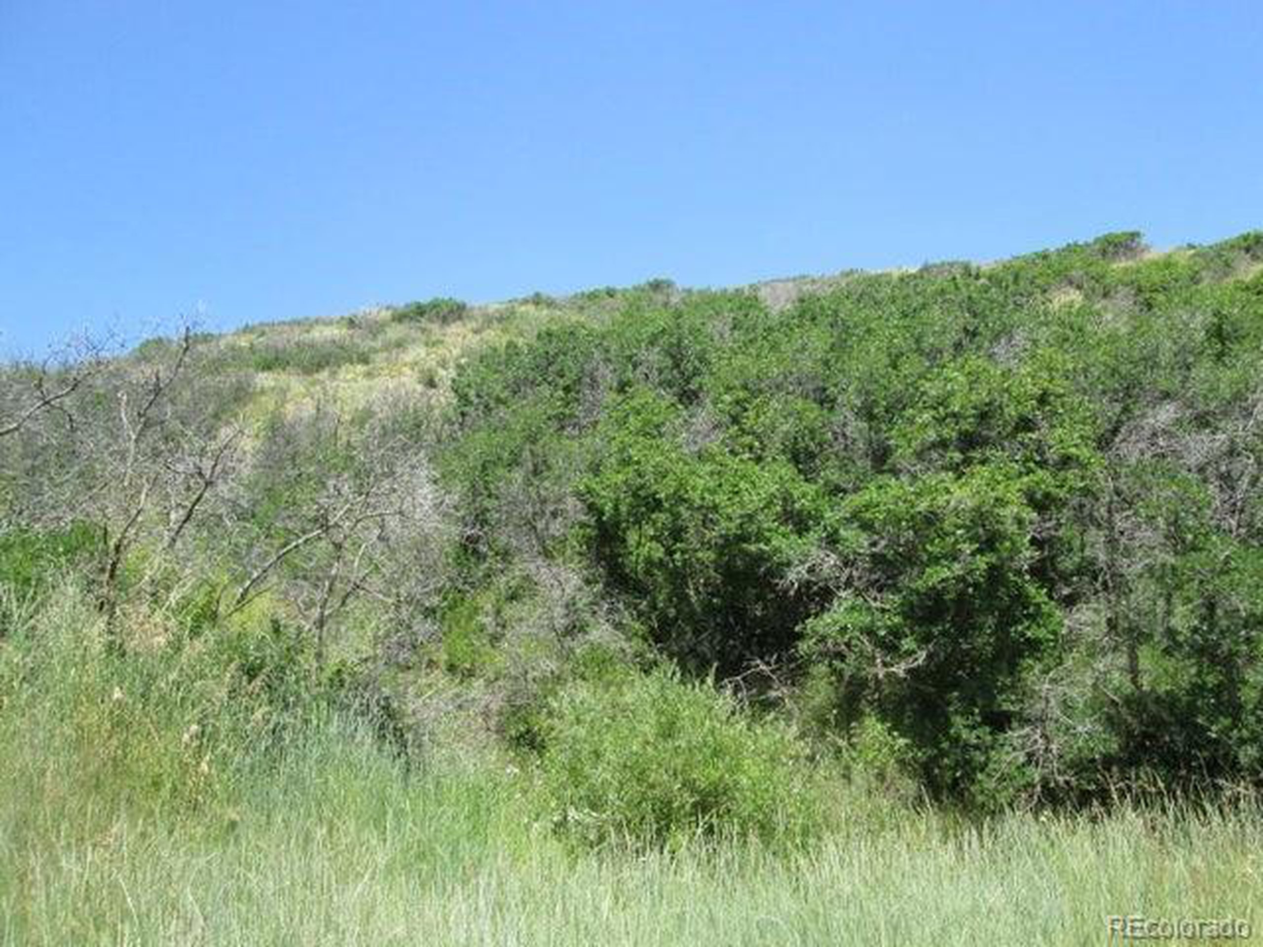 32 Raspberry Mountain Ranch La Veta, CO 81055 - Photo 7 of 13 a view of a green field