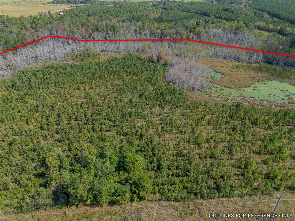 1 Kinnett Road Milan, GA 31060 - Photo 5 of 8