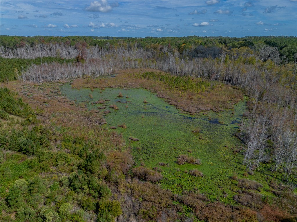 1 Kinnett Road Milan, GA 31060 - Photo 7 of 8