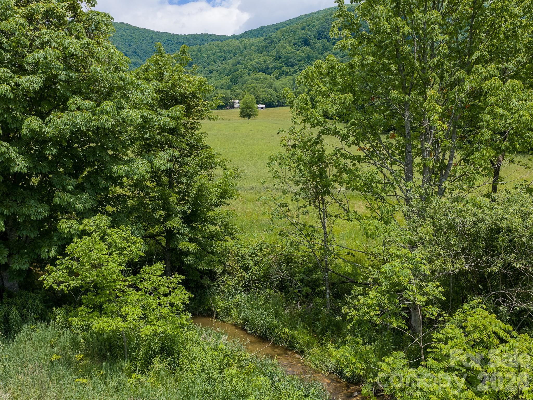 0 Sallys Branch Road Clyde, NC 28721 - Photo 7 of 22