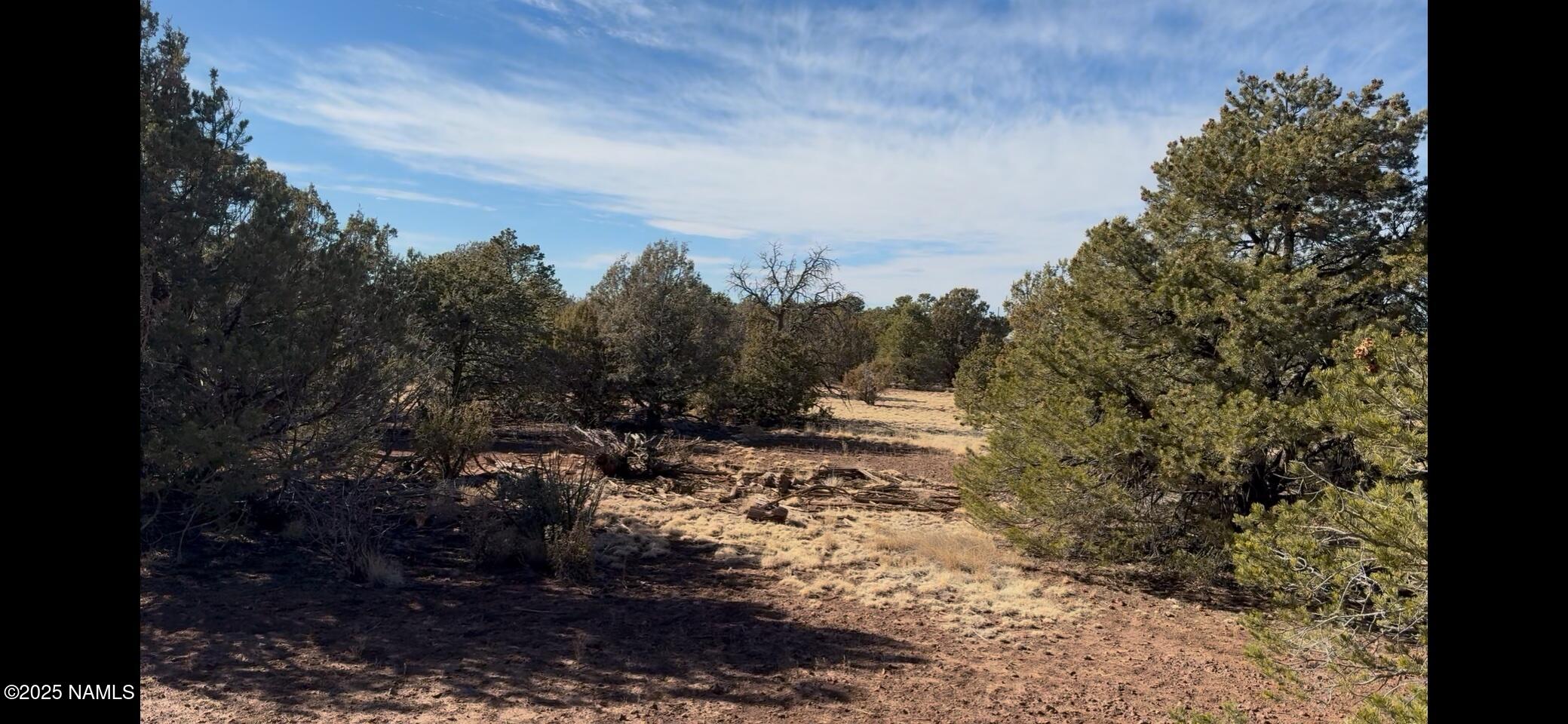 7562 North Buck Ridge Road Williams, AZ 86046 - Photo 12 of 17 IMG_11