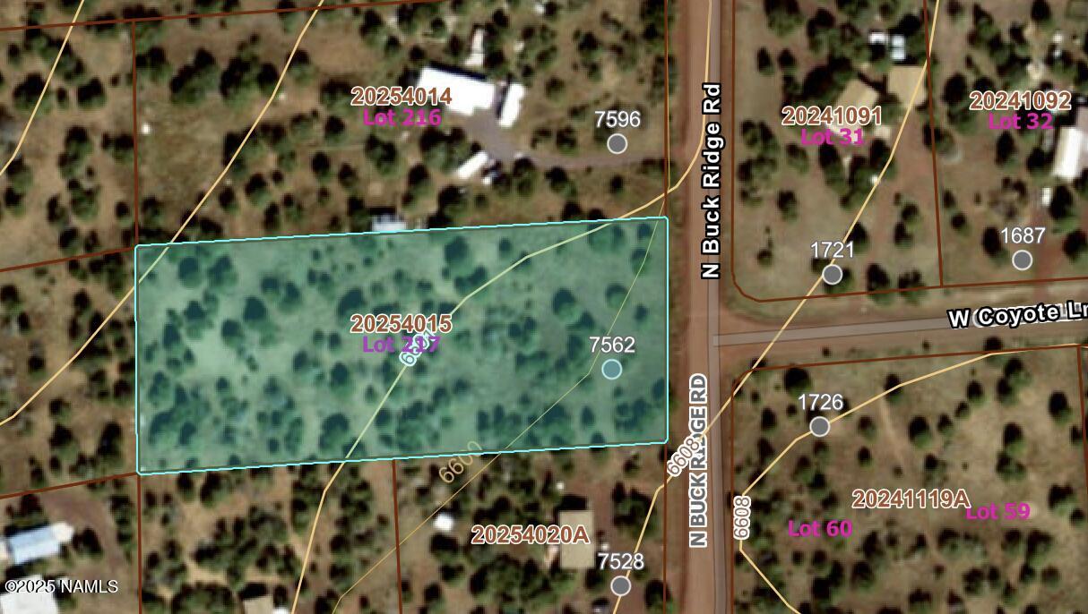 7562 North Buck Ridge Road Williams, AZ 86046 - Photo 15 of 17 Parcel view