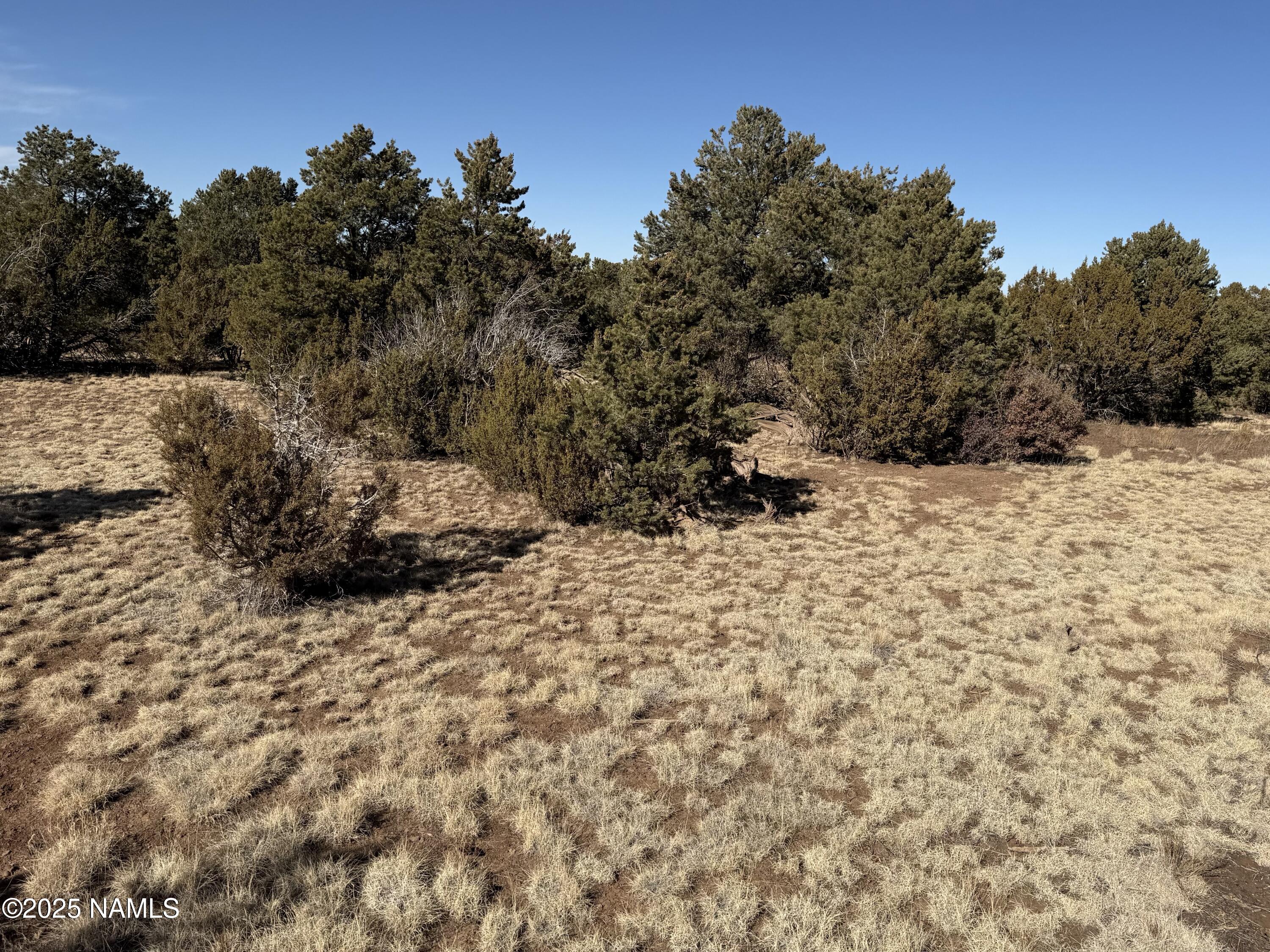 7562 North Buck Ridge Road Williams, AZ 86046 - Photo 4 of 17 3