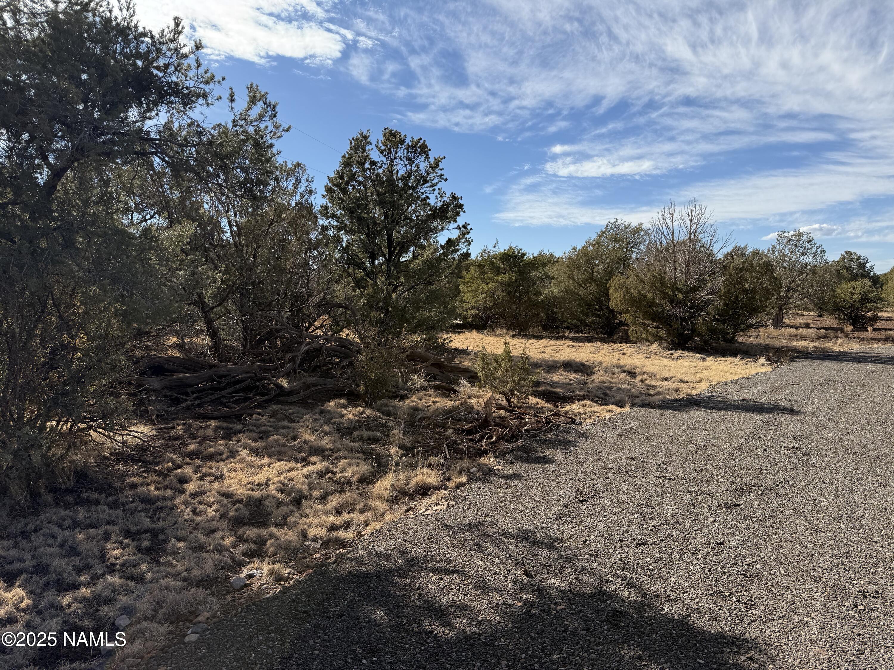 7562 North Buck Ridge Road Williams, AZ 86046 - Photo 7 of 17 IMG_06