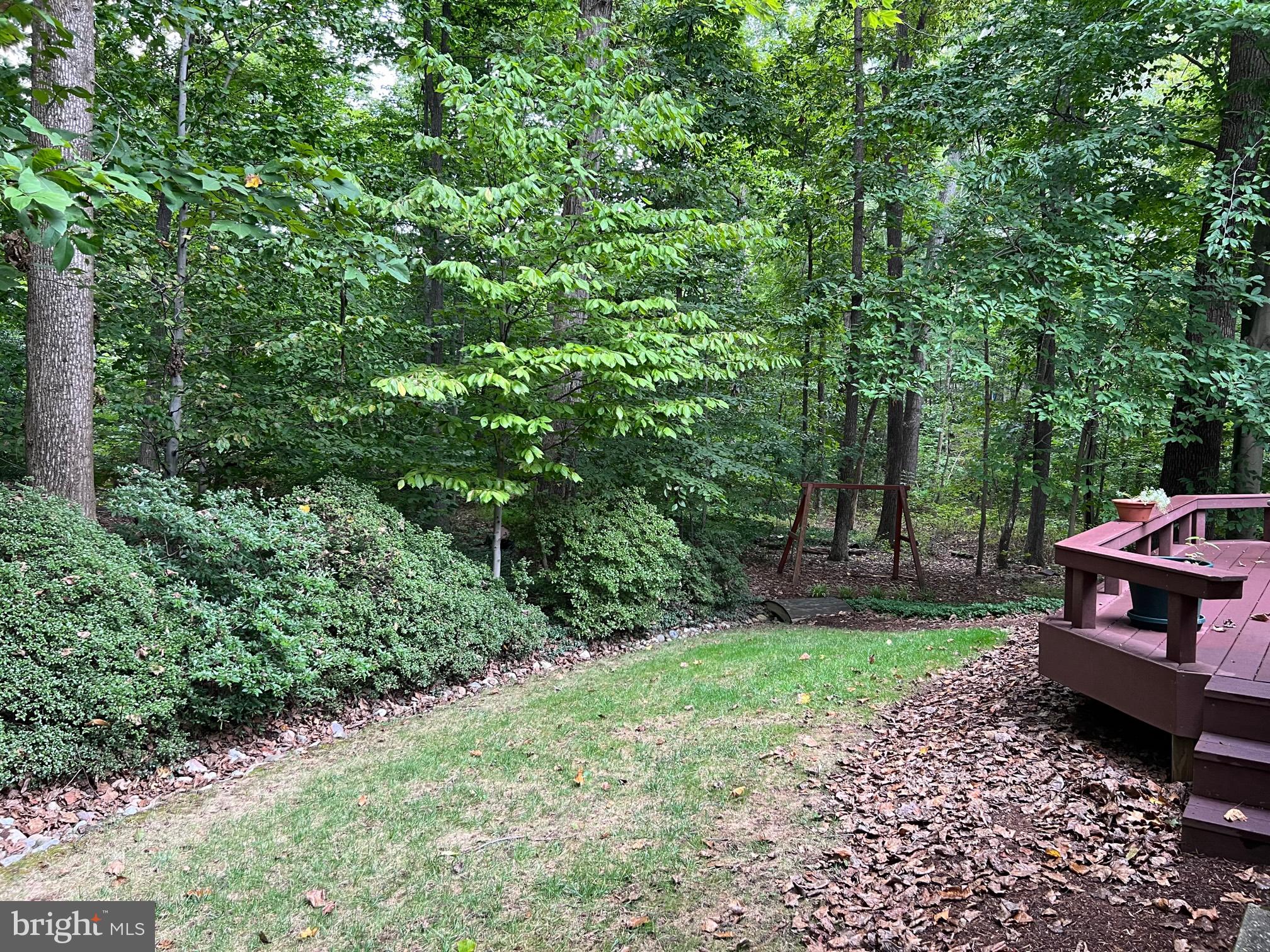 9226 Rockefeller Lane Springfield, VA 22153 - Photo 50 of 58