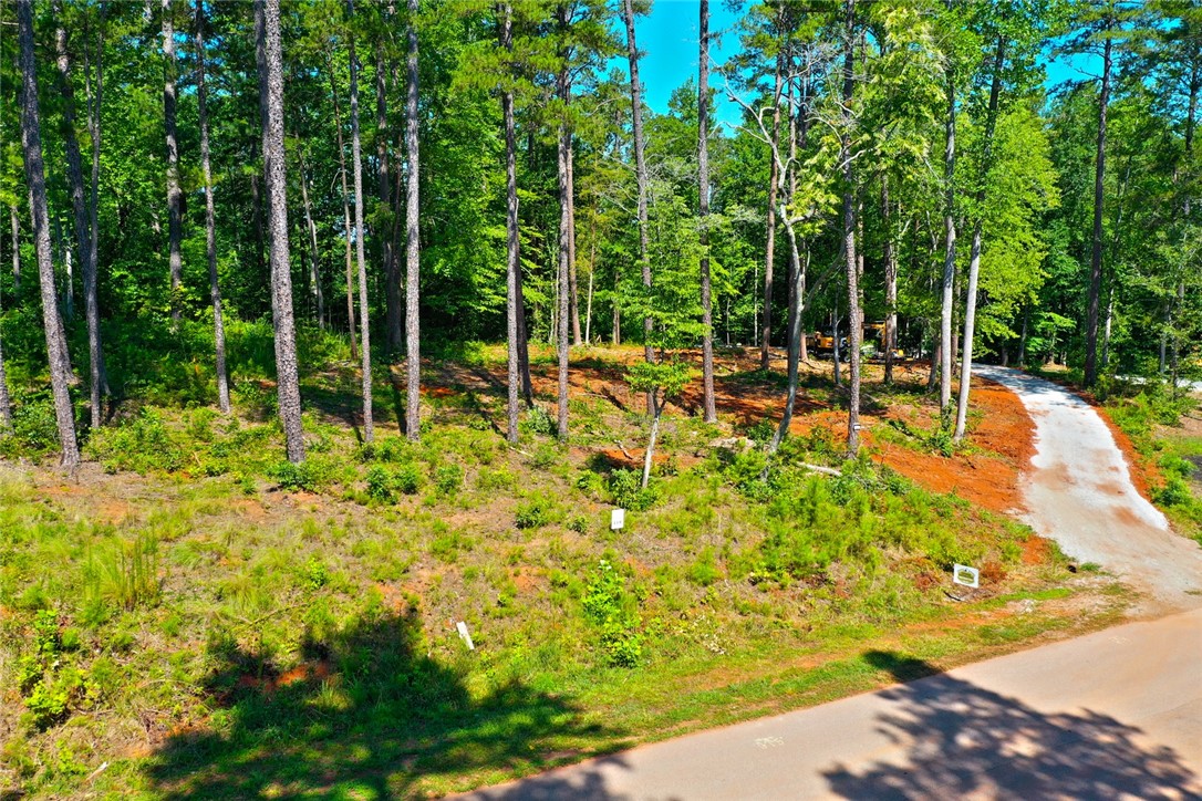 1359 Hbr Rdg Road Seneca, SC 29672 - Photo 5 of 39 Mature trees and a newly carved driveway define this tranquil building site.