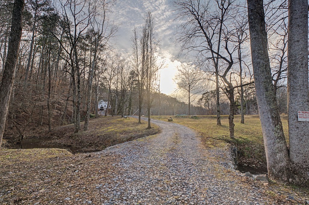 253 Wheeler Dam Road Cohutta, GA 30710 - Photo 3 of 54 Gallery Image 3
