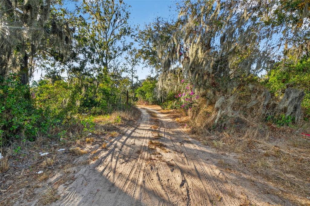 9602 Taylor Road Seffner, FL 33584 - Photo 7 of 9 a backyard of a house with lots of green space