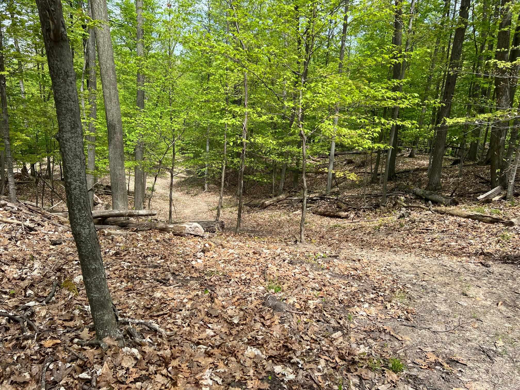 0 Prouty Road Traverse City, MI 49686 - Photo 8 of 40 1917827-3.JPG