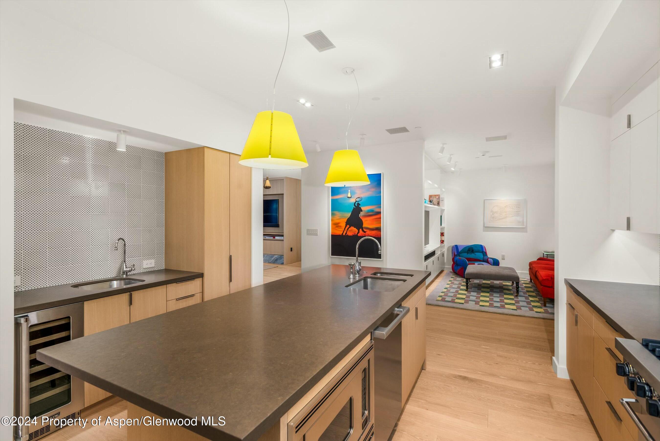 233 East Cooper Avenue, Unit 207 Aspen, CO 81611 - Photo 14 of 45 a kitchen with stainless steel appliances granite countertop a sink counter space and cabinets