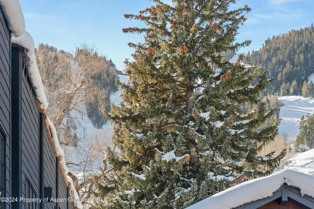 $125,000 | 233 East Cooper Avenue, Unit 207, Aspen, CO 81611