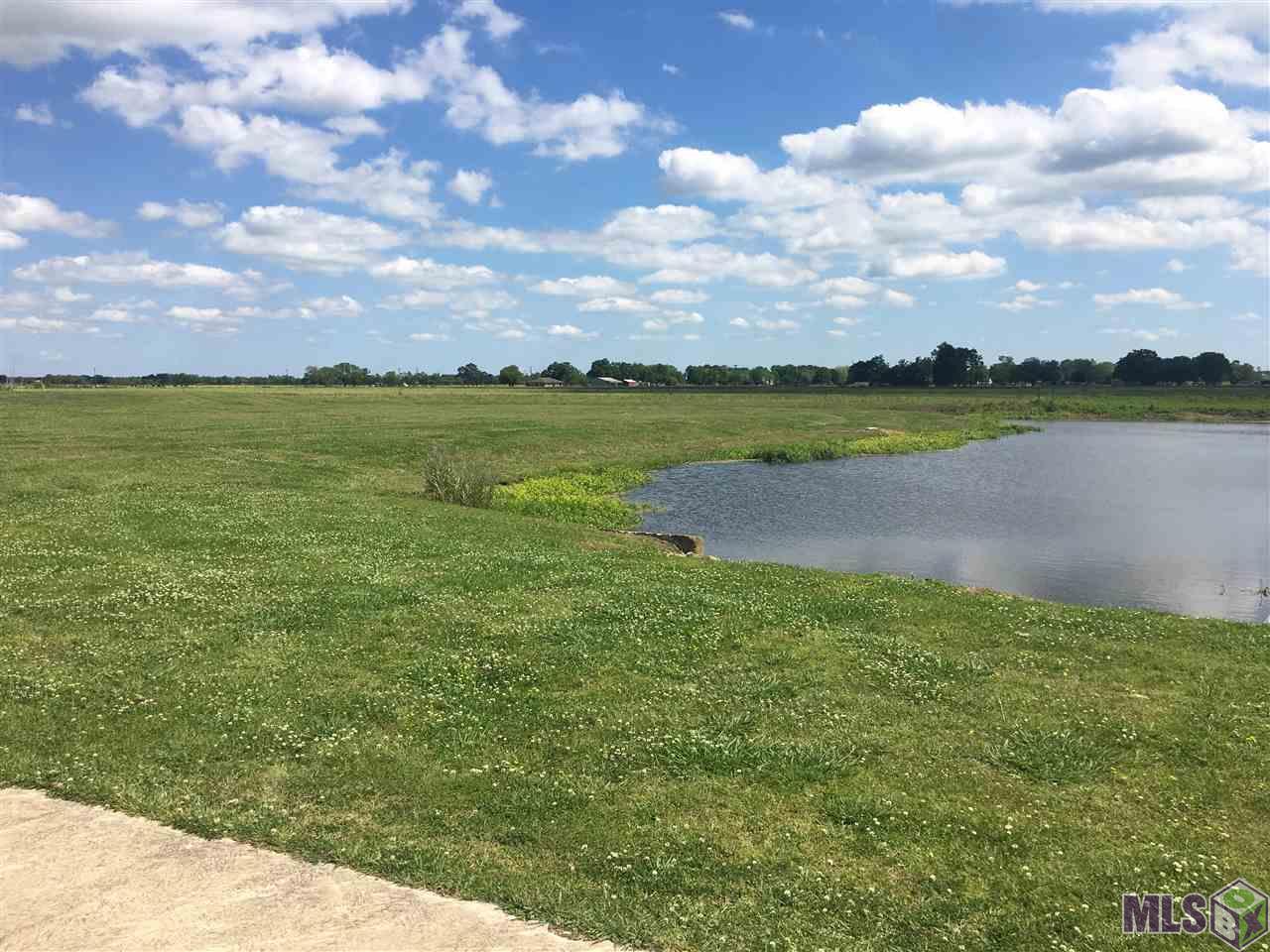 226 Colvan Street Raceland, LA 70394 - Photo 2 of 4