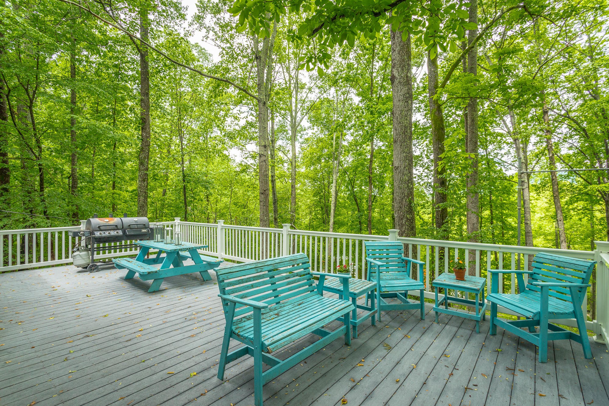 6004 Tallent Road McDonald, TN 37353 - Photo 35 of 64