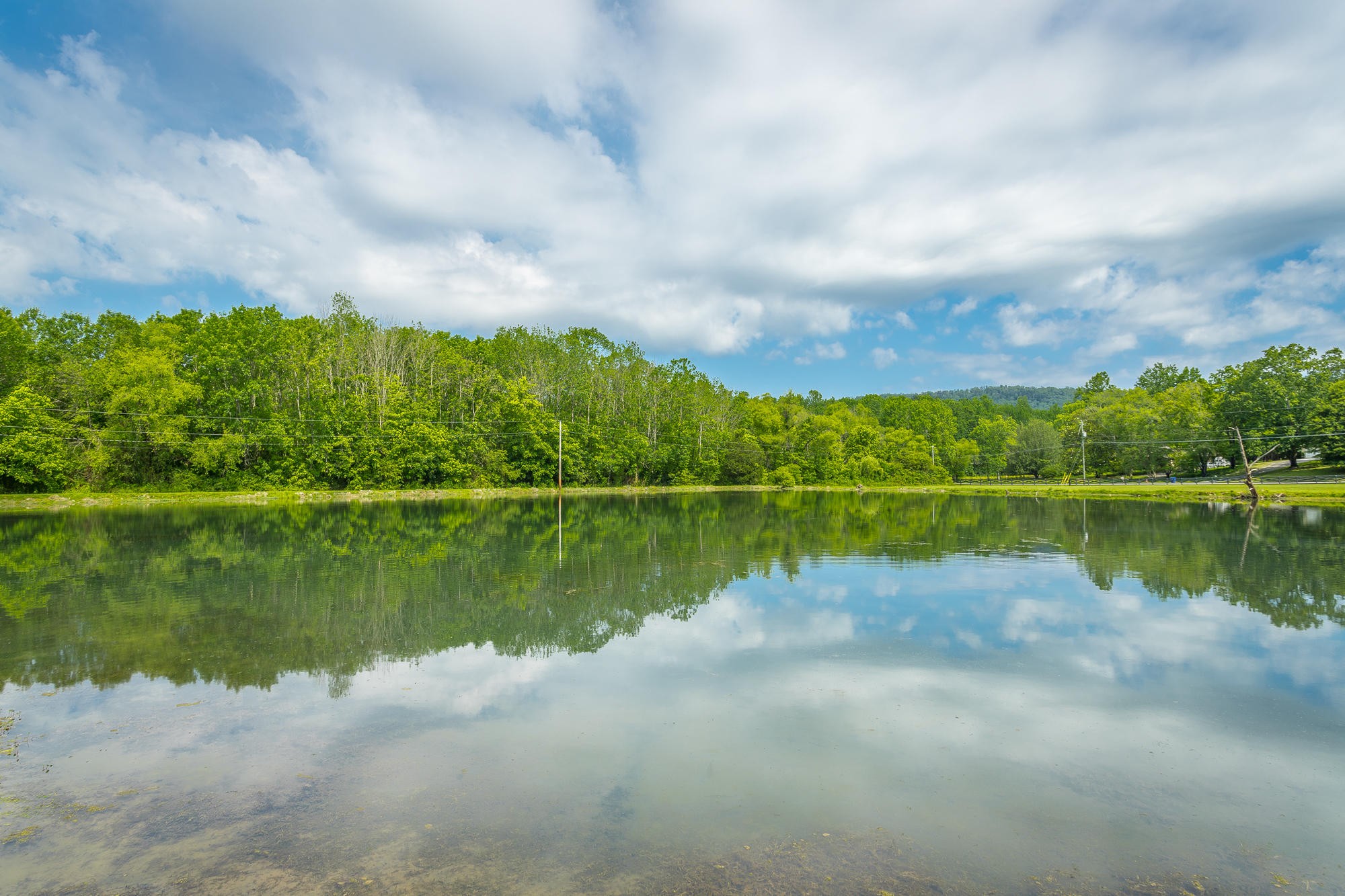 6004 Tallent Road McDonald, TN 37353 - Photo 49 of 64