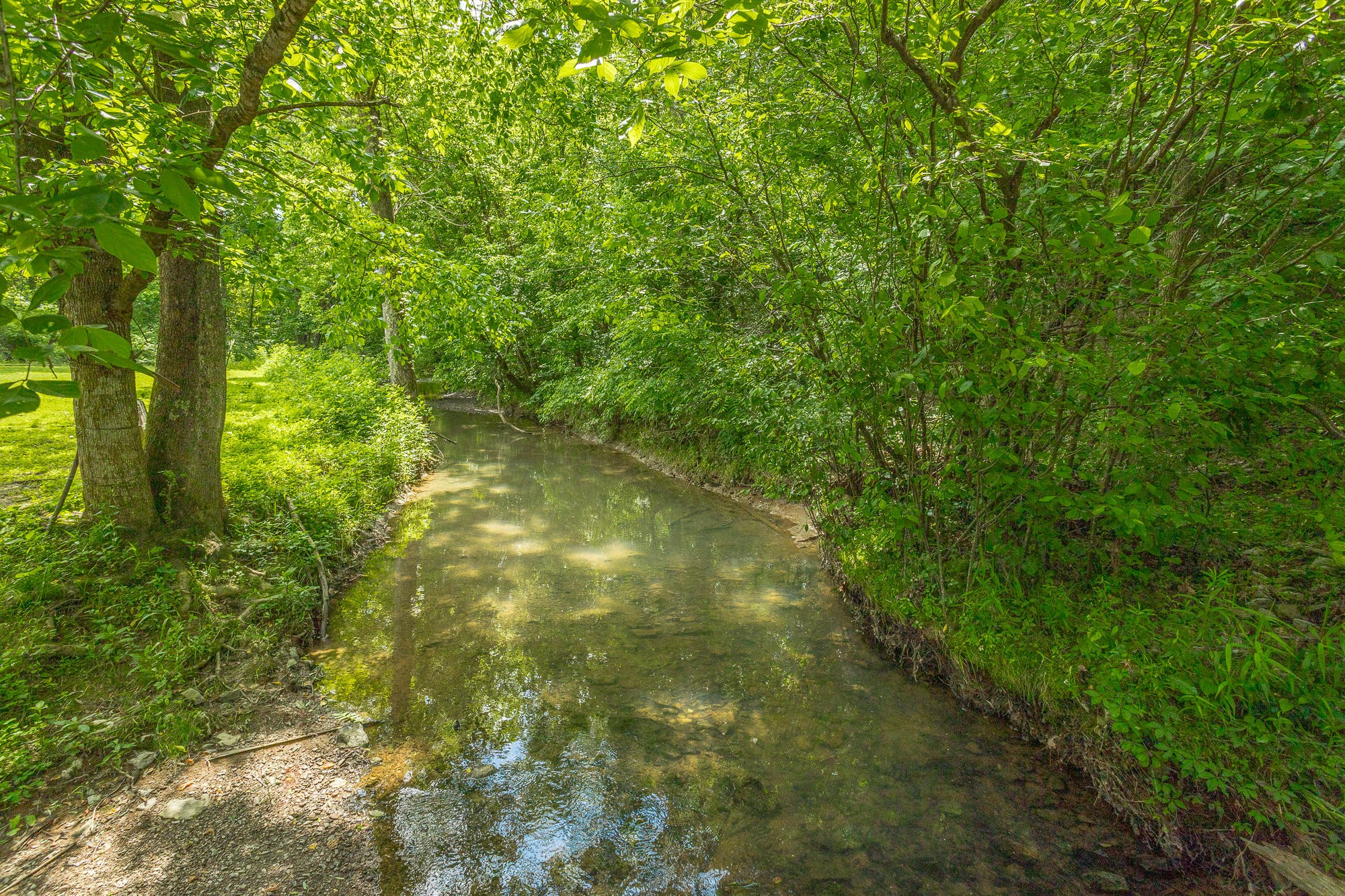 6004 Tallent Road McDonald, TN 37353 - Photo 54 of 64