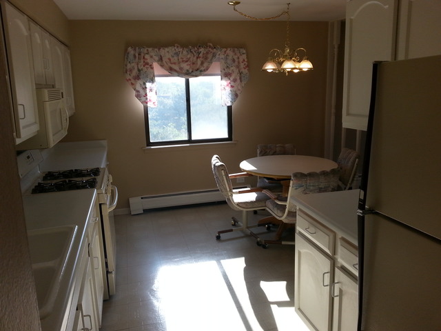 239 North Mill Road, Unit 402A Addison, IL 60101 - Photo 15 of 25