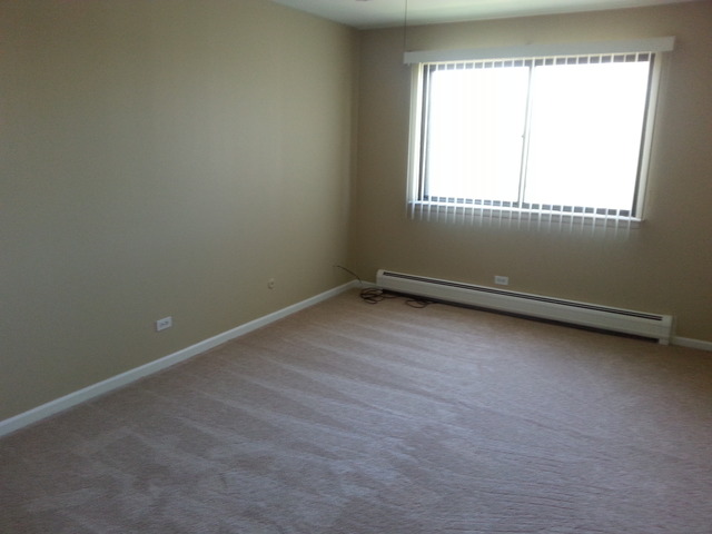 239 North Mill Road, Unit 402A Addison, IL 60101 - Photo 19 of 25