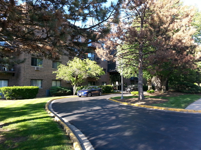 239 North Mill Road, Unit 402A Addison, IL 60101 - Photo 4 of 25