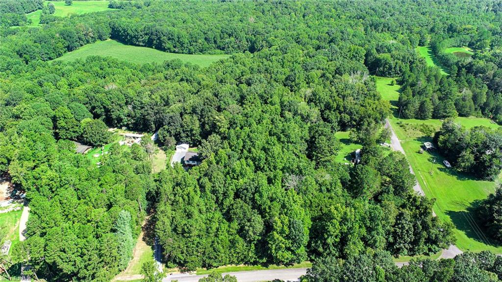 5648 Riverside Acres Court Trinity, NC 27370 - Photo 47 of 50