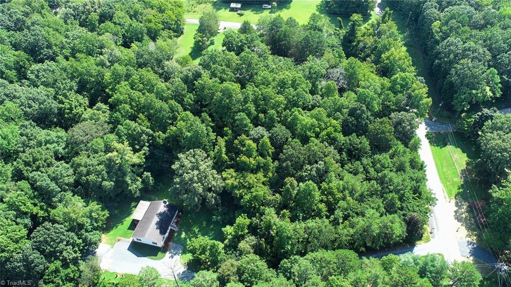 5648 Riverside Acres Court Trinity, NC 27370 - Photo 48 of 50