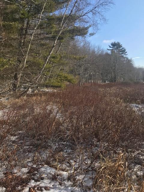 0 Great Pond Road Franklin, ME 04634 - Photo 4 of 5 IMG_8826