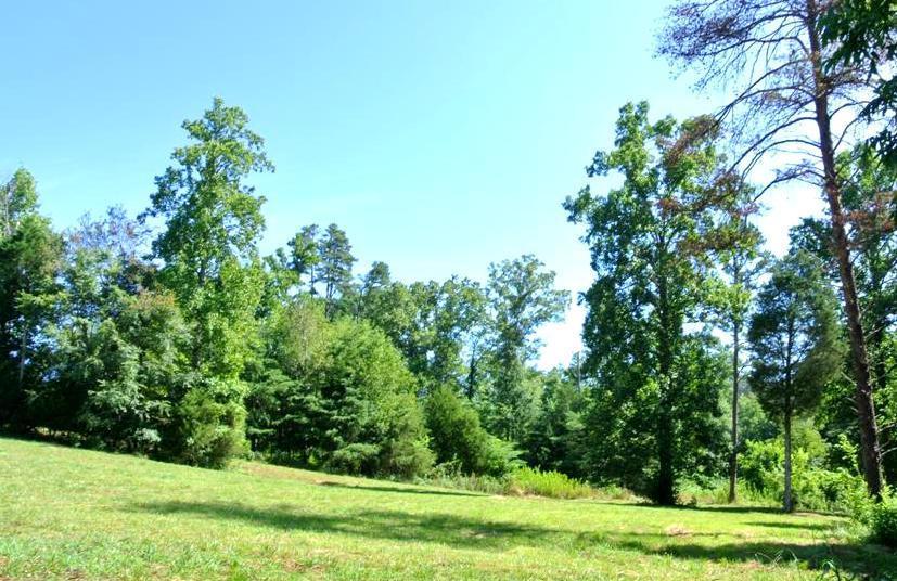 4044 Light Pink Road Louisville, TN 37777 - Photo 4 of 40 Lovely Views Along Driveway