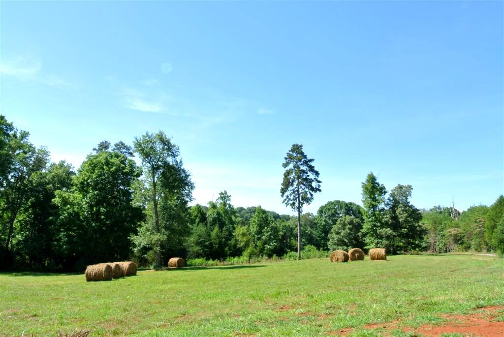 4044 Light Pink Road Louisville, TN 37777 - Photo 36 of 40 Country Setting