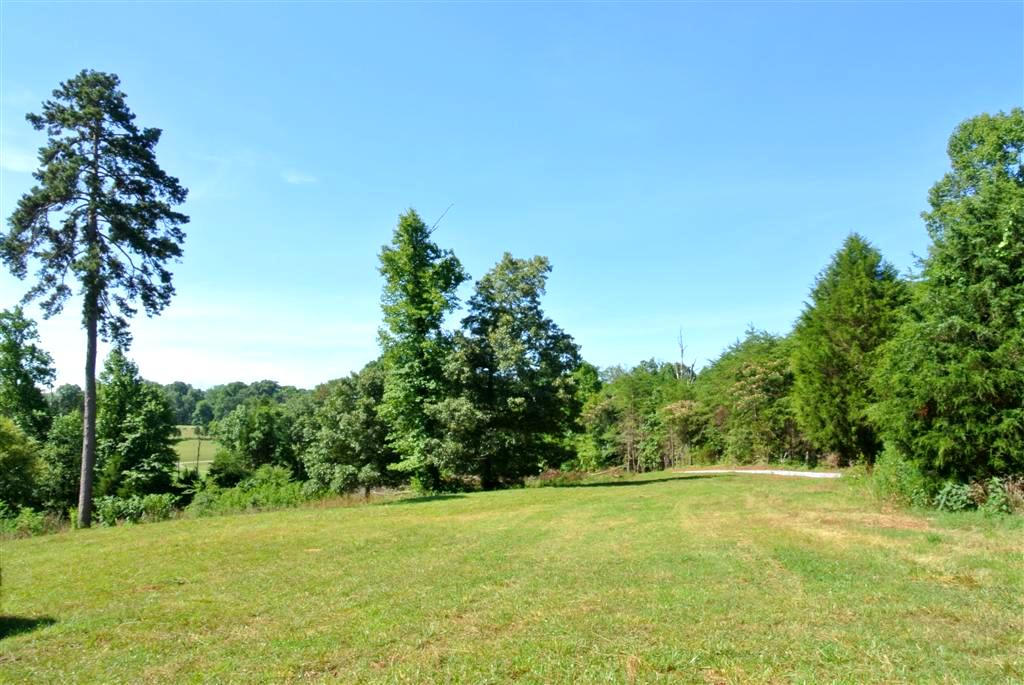 4044 Light Pink Road Louisville, TN 37777 - Photo 38 of 40 Gorgeous Land!