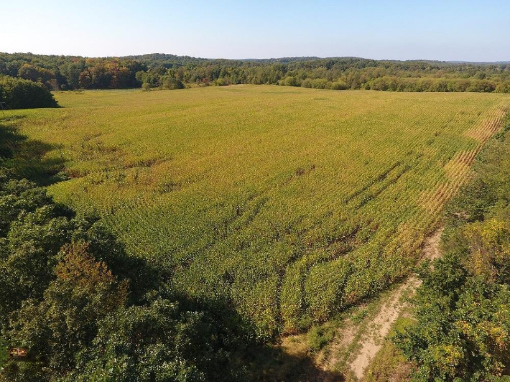 Warner Road Concord, MI 49237 - Photo 1 of 26 DJI_0001