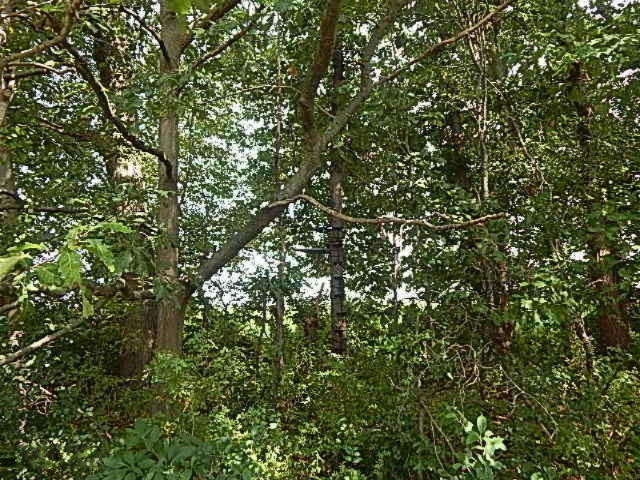 Warner Road Concord, MI 49237 - Photo 20 of 26 DSCN3808