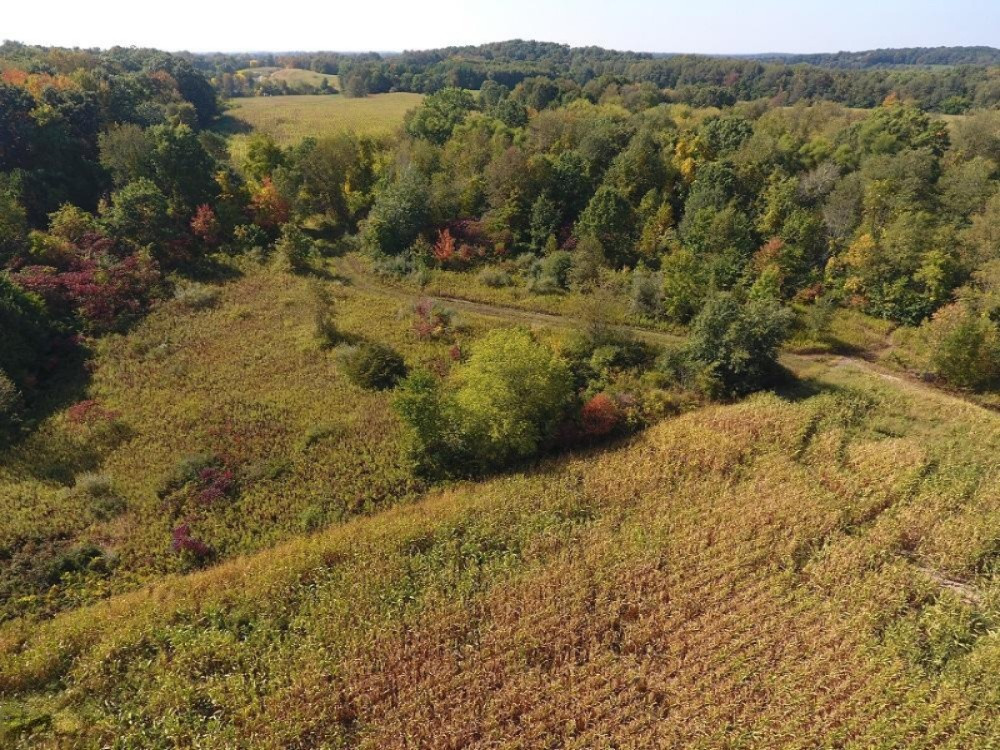 Warner Road Concord, MI 49237 - Photo 5 of 26 DJI_0005