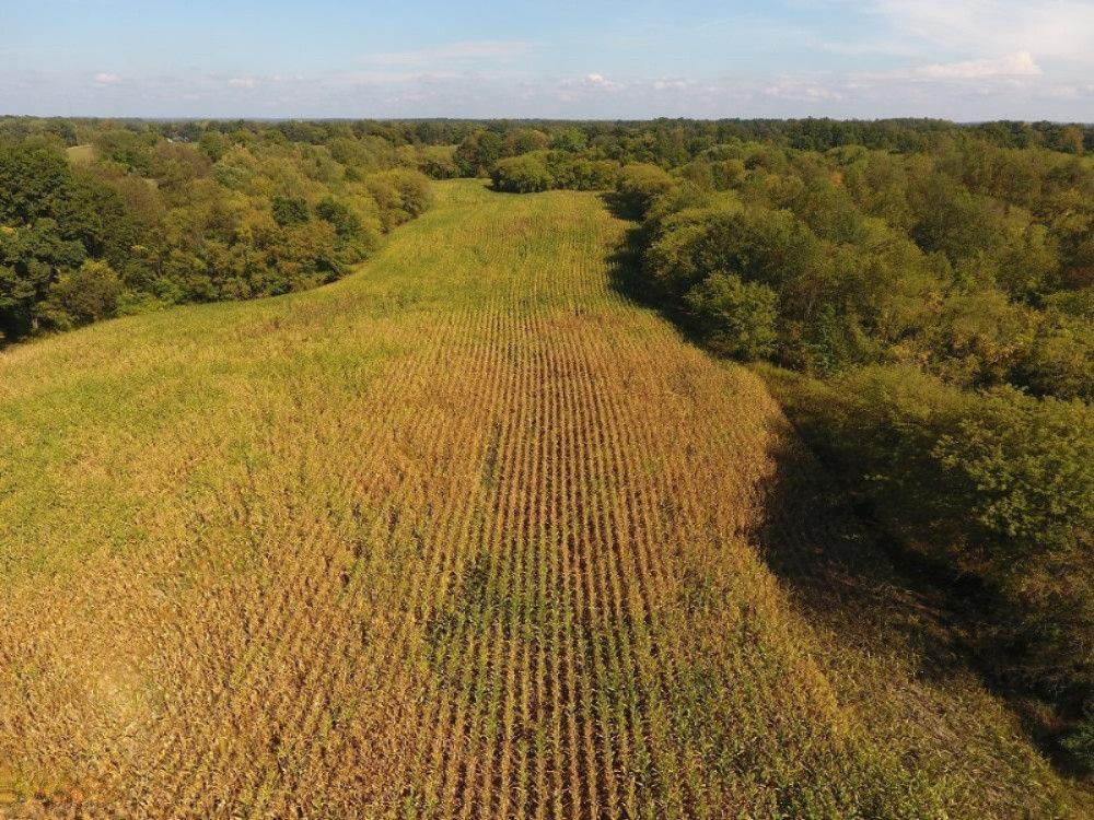 Warner Road Concord, MI 49237 - Photo 8 of 26 DJI_0008