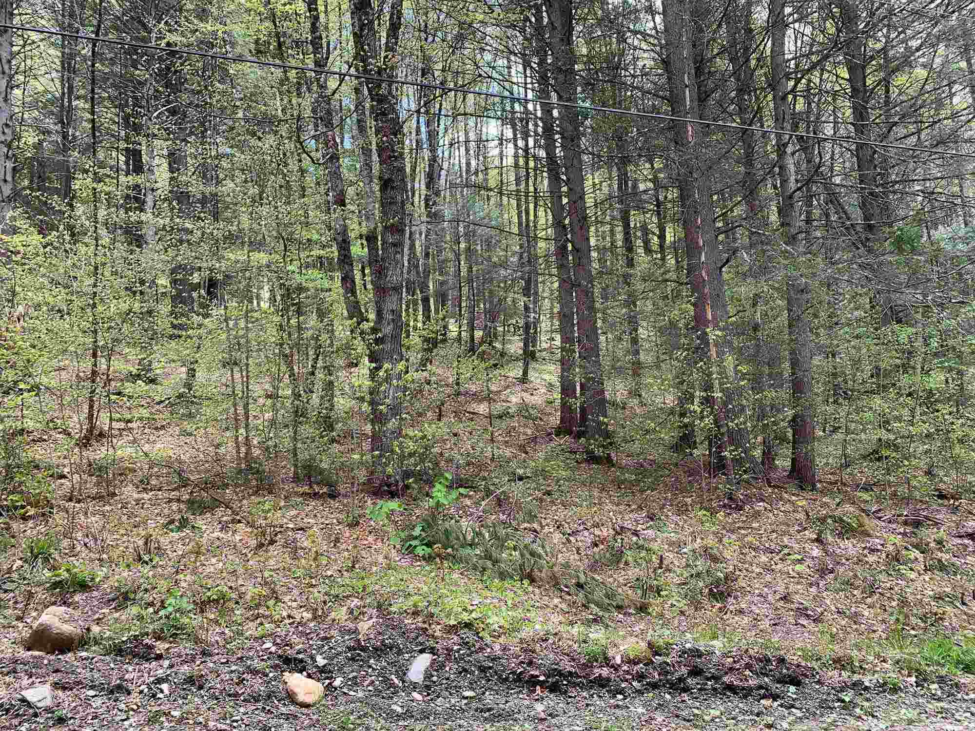 0 Robin Hill Road Townshend, VT 05353 - Photo 4 of 10 Gallery Image 4