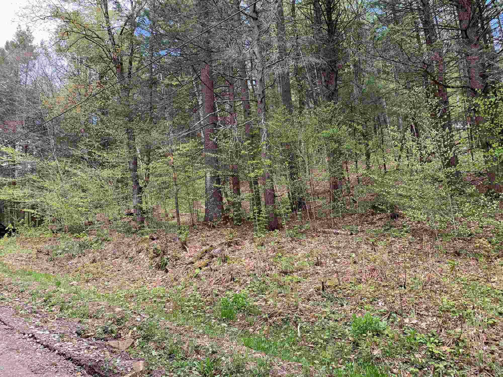 0 Robin Hill Road Townshend, VT 05353 - Photo 8 of 10 Gallery Image 8