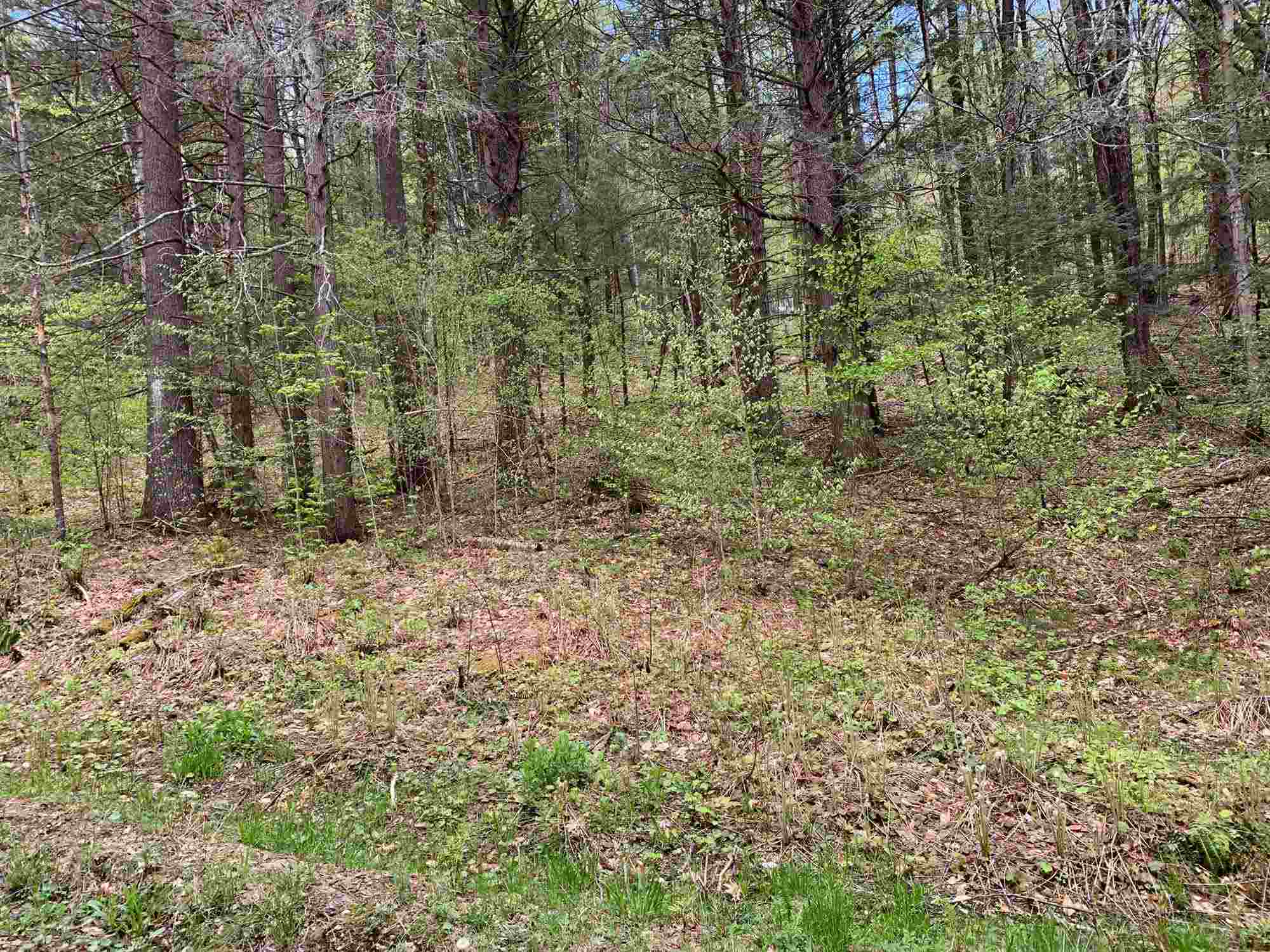 0 Robin Hill Road Townshend, VT 05353 - Photo 9 of 10 Gallery Image 9