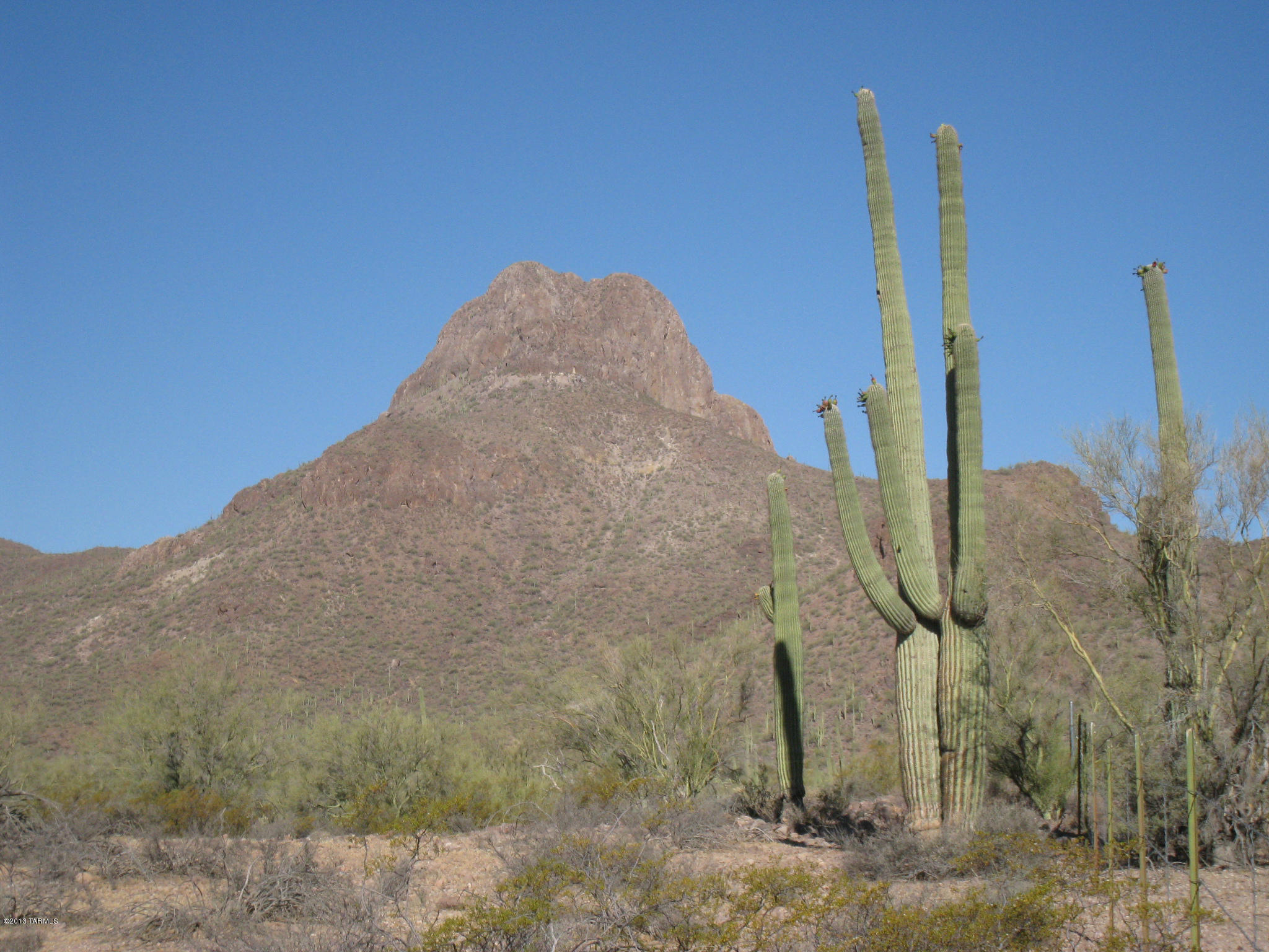 0 North Artesiano Road, Unit B Tucson, AZ 85743 - Photo 6 of 7